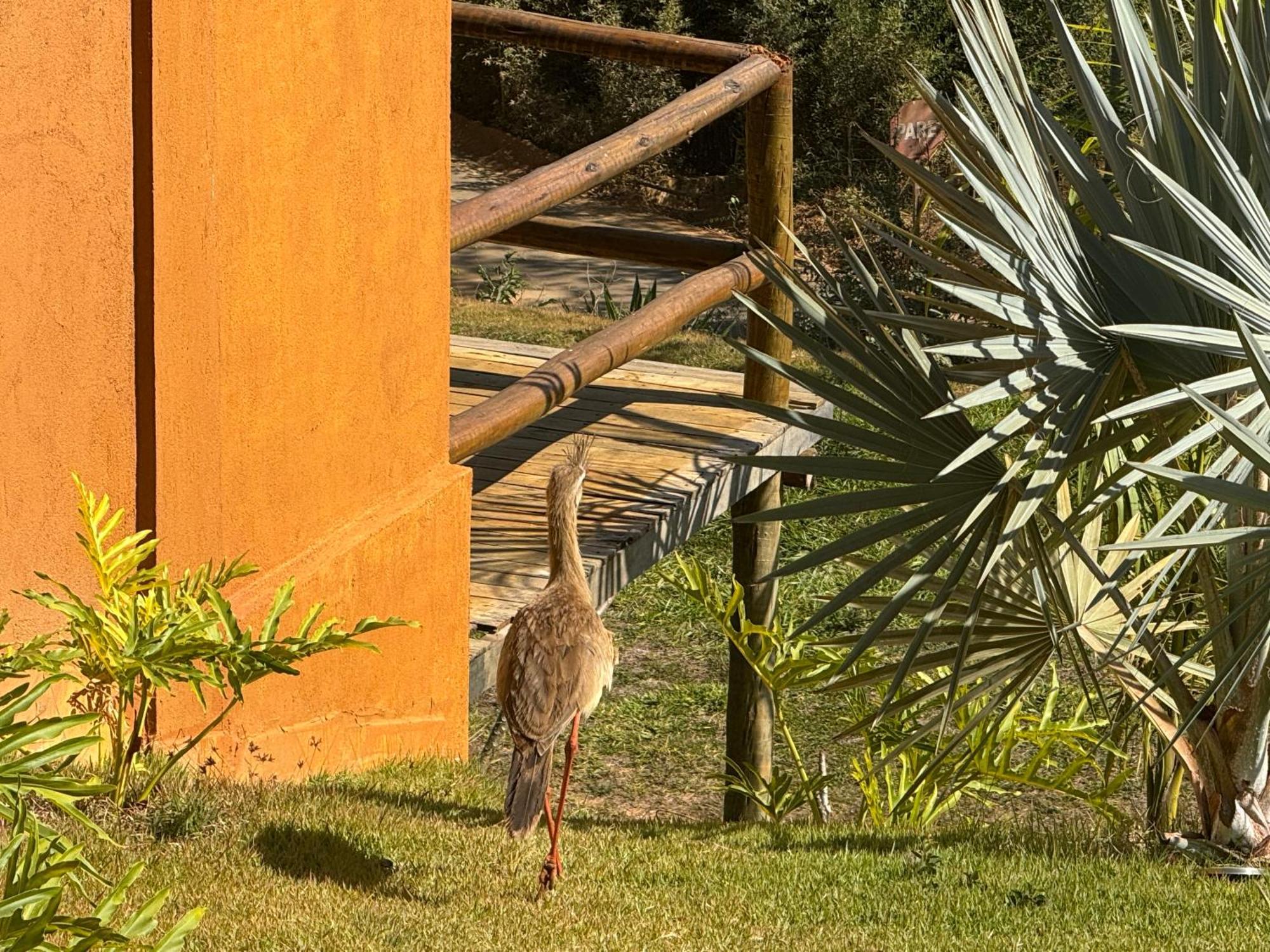 Pousada Guardia Da Canastra Vargem Bonita Exterior foto